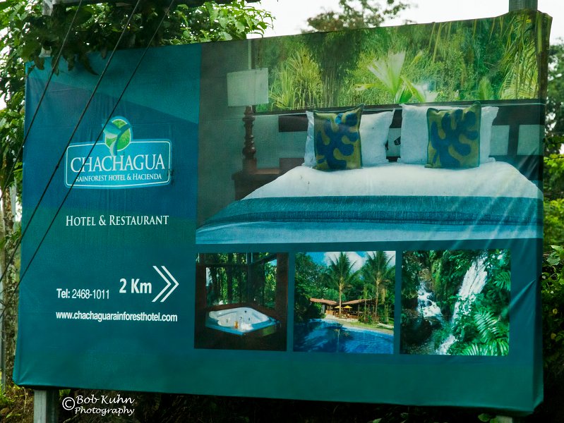 IMG_6196-2-Chachagua Rainforest Hotel.jpg